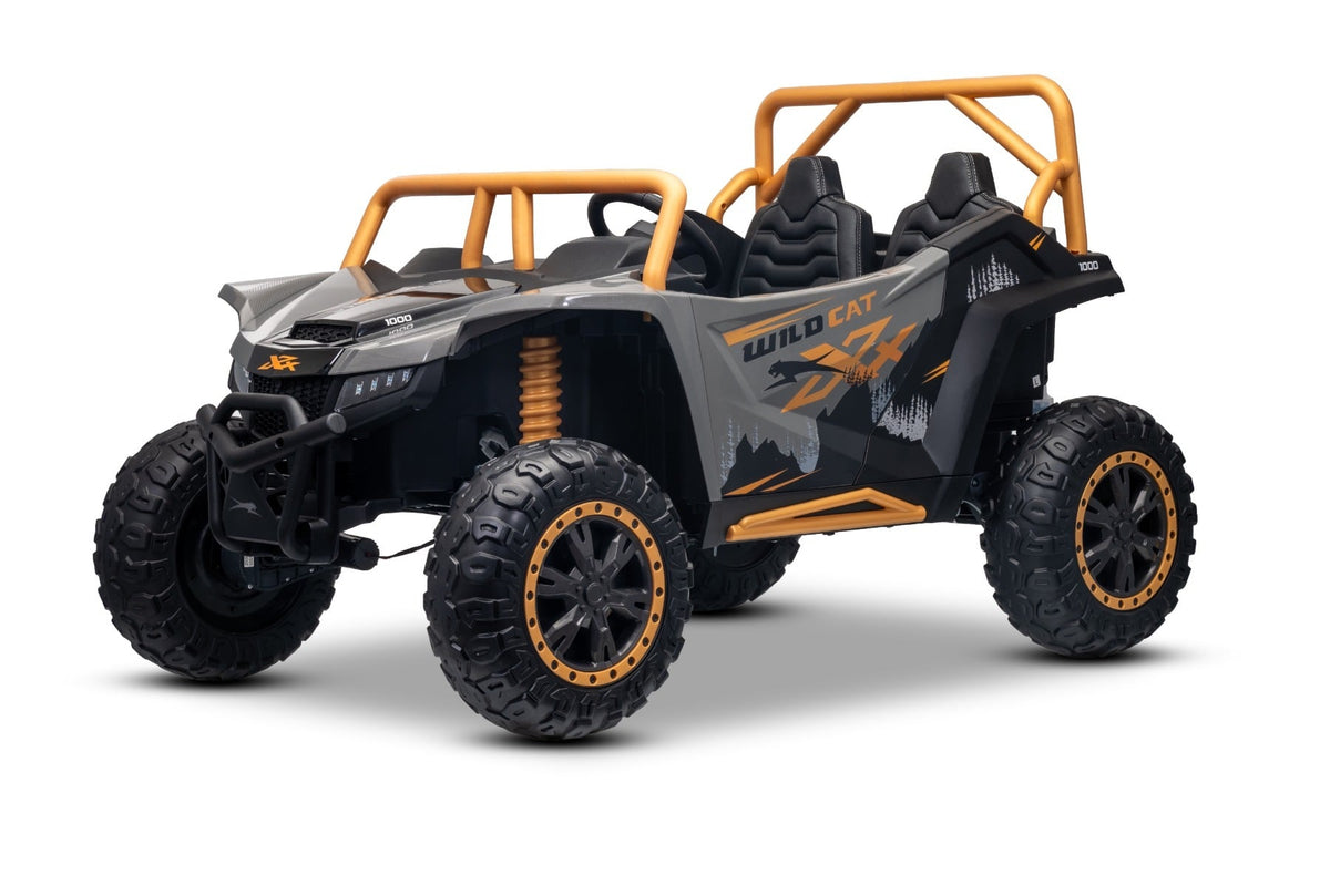 Arctic Cat XXL 24V – Buggy électrique enfant 2 places | Gris