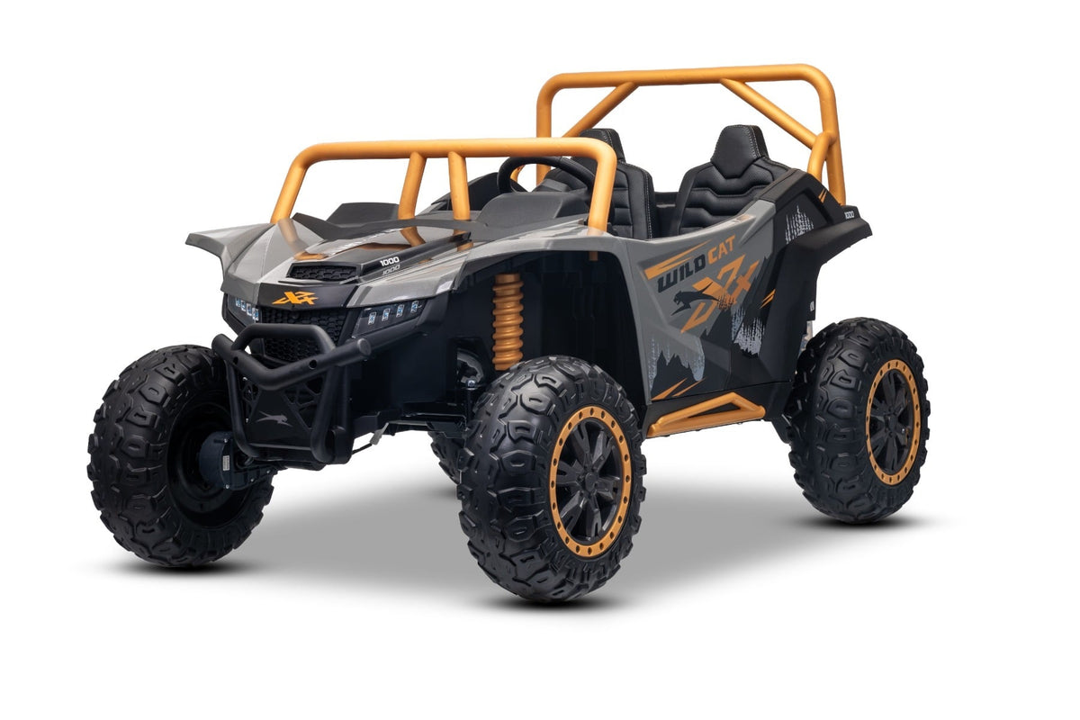 Arctic Cat XXL 24V – Buggy électrique enfant 2 places | Gris