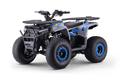 Warrior 125 – Quad thermique enfant | Bleu