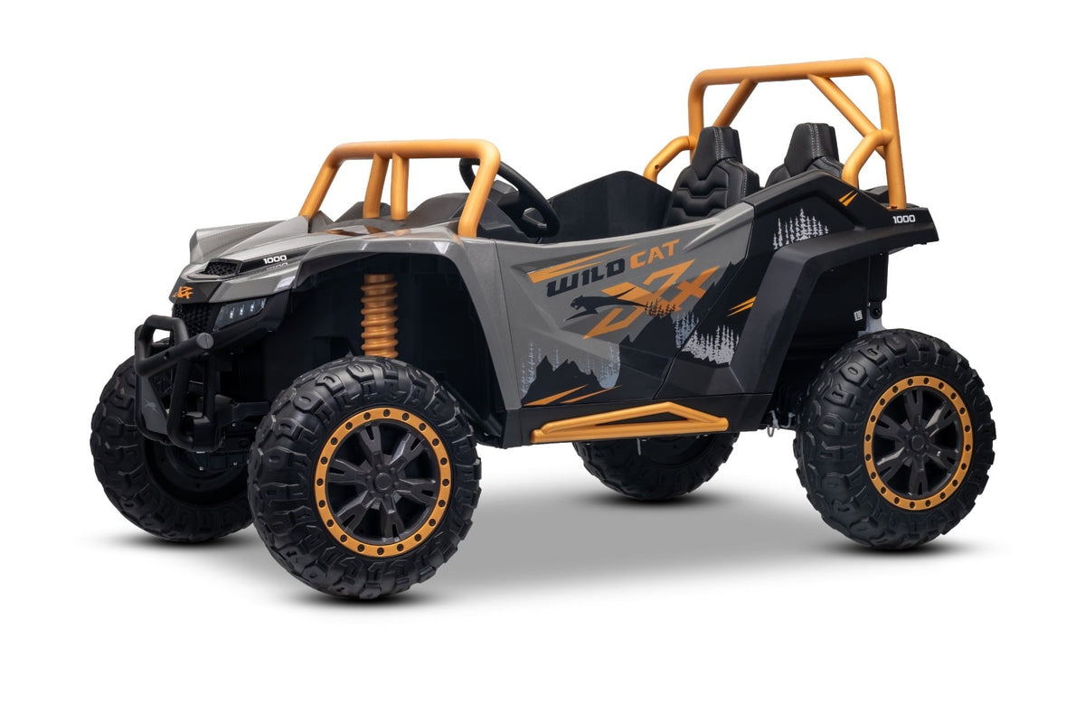Arctic Cat XXL 24V – Buggy électrique enfant 2 places | Gris